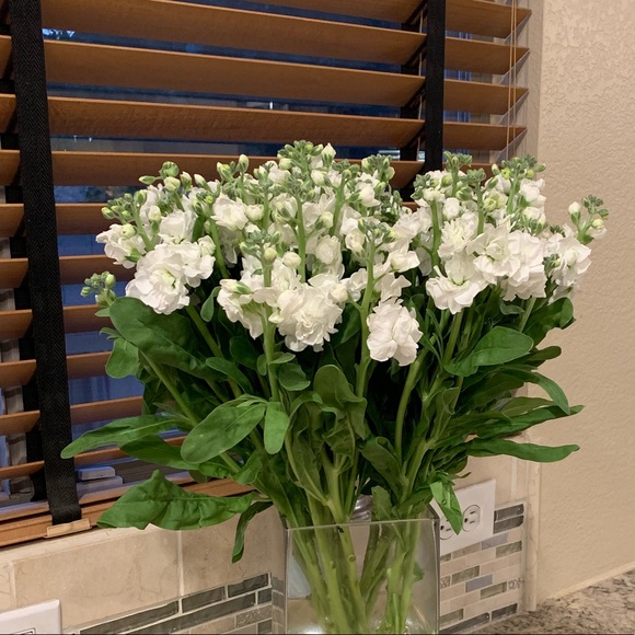 Meet your Posher, Becky - Picture 1 of 1